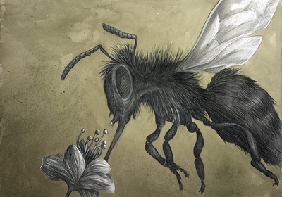 Illustration for The Colour out of Space Chapter 1 Bee sucking on flower by Andreas Hartung