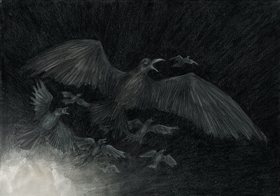 The Colour out of Space Chapter 1 Illustration - Birds in Panic by Andreas Hartung