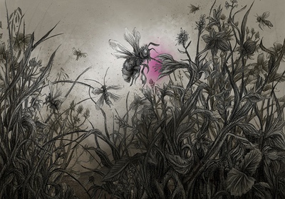 The Colour out of Space Chapter 1 Illustration - Meadow with insects sucking on plants with strange colour by Andreas Hartung